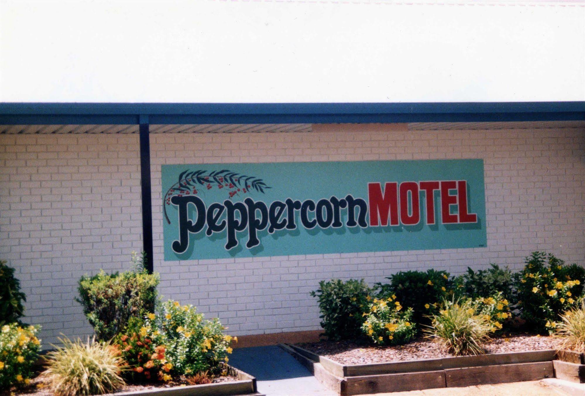 Peppercorn Motel Clermont Extérieur photo